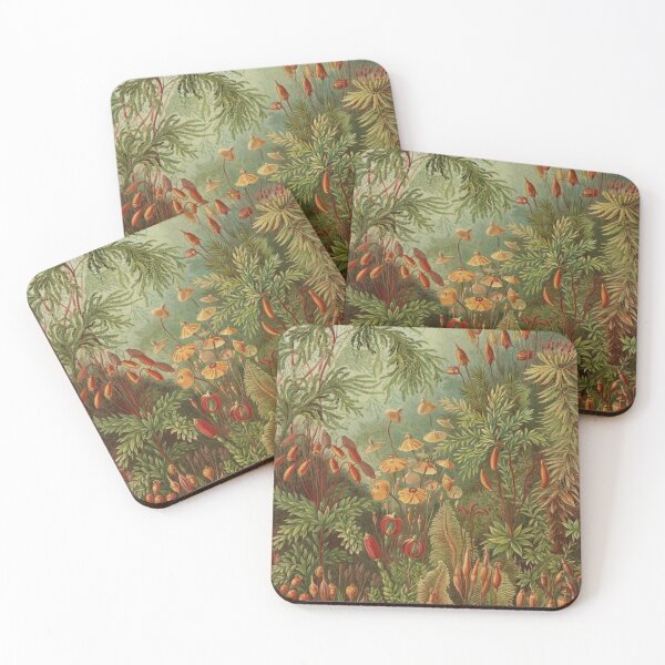 Item preview, Art Forms of Nature (Muscinae by Haeckner, 1904) designed and sold by A Little Bit Ludo.