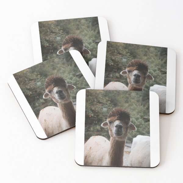 Item preview, Alpaca Photograph  designed and sold by LeoArthurPhotos.