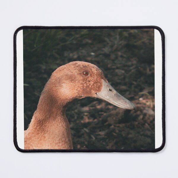 Item preview, Duck. designed and sold by LeoArthurPhotos.