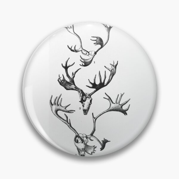 Item preview, Vintage Antler Evolution Scientific Illustration designed and sold by Antique Science Press.