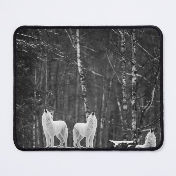 Item preview, Winter wolves howling on hilltop black and white nature photograph designed and sold by Astrid Arkhangelsky.