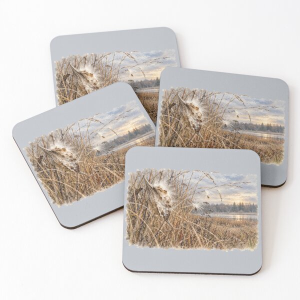 Item preview, Milkweed Seeds in the Autumn Marsh | Nature Study designed and sold by SusanSweetArt.