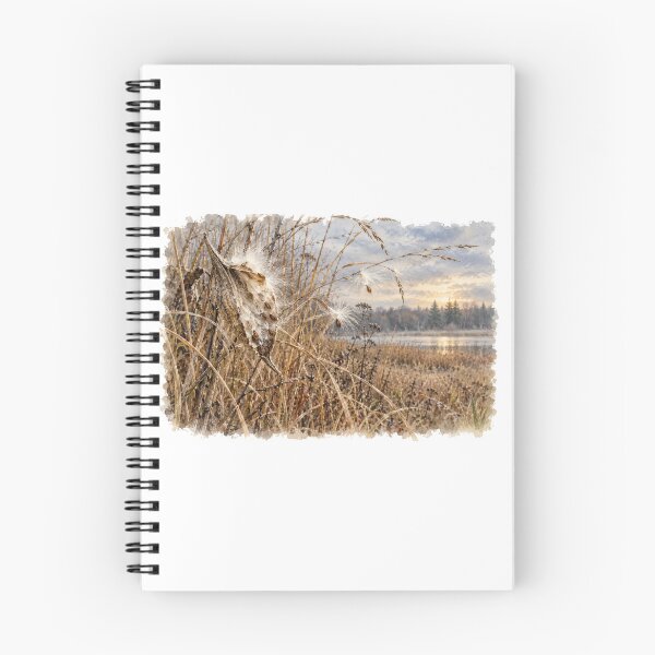 Item preview, Milkweed Seeds in the Autumn Marsh | Nature Study designed and sold by SusanSweetArt.