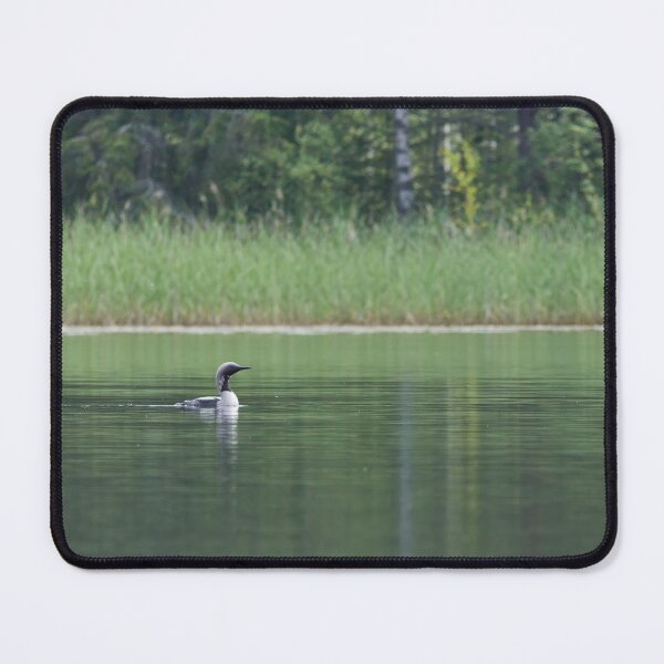 Item preview, The calm lake. Black-throated Diver designed and sold by Jouko Lehto Photography.