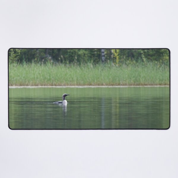 Item preview, The calm lake. Black-throated Diver designed and sold by Jouko Lehto Photography.