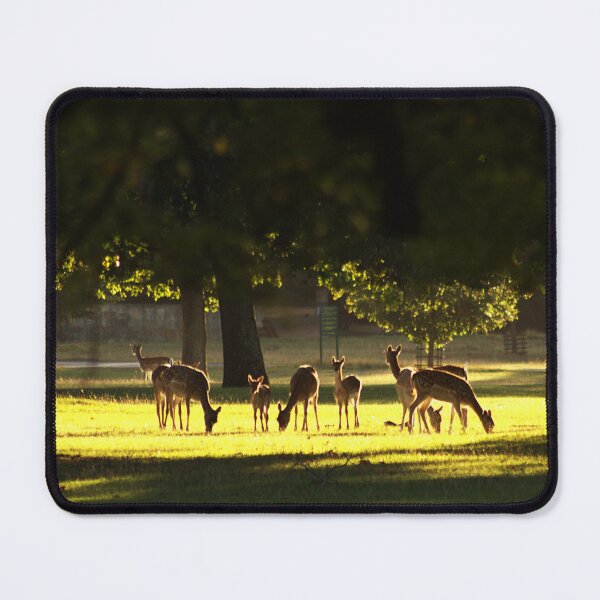 Item preview, Among the Leaves designed and sold by Murph's Images.