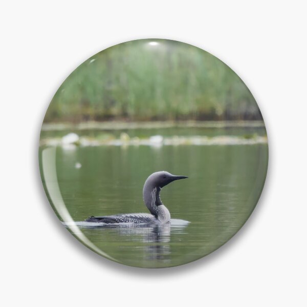 Item preview, Soft light. Black-throated Diver designed and sold by Jouko Lehto Photography.