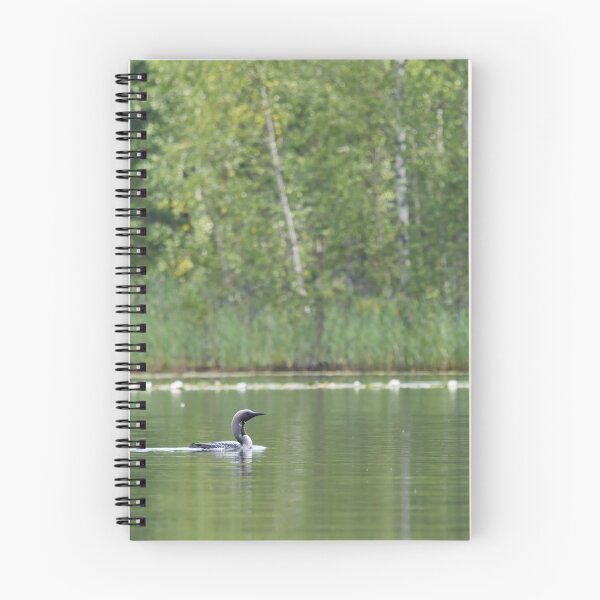 Item preview, Soft light. Black-throated Diver designed and sold by Jouko Lehto Photography.