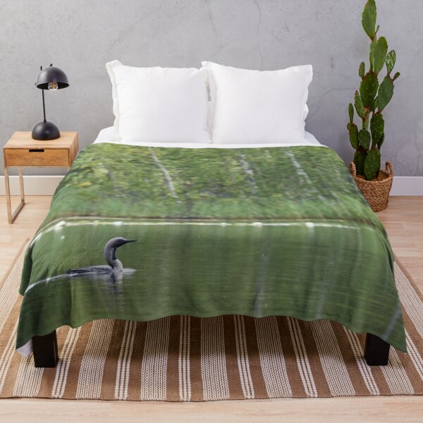 Item preview, Soft light. Black-throated Diver designed and sold by Jouko Lehto Photography.
