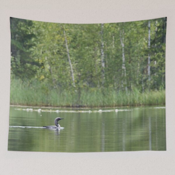 Item preview, Soft light. Black-throated Diver designed and sold by Jouko Lehto Photography.