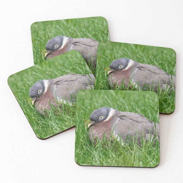 Item preview, When the grass is greener.Wood Pigeon designed and sold by Jouko Lehto Photography.