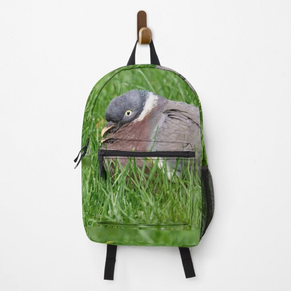 Item preview, When the grass is greener.Wood Pigeon designed and sold by Jouko Lehto Photography.