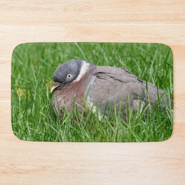 Item preview, When the grass is greener.Wood Pigeon designed and sold by Jouko Lehto Photography.