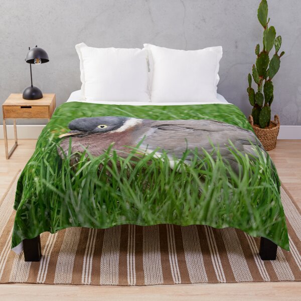 Item preview, When the grass is greener.Wood Pigeon designed and sold by Jouko Lehto Photography.