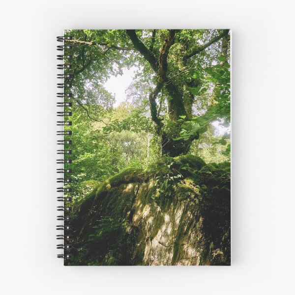 Item preview, Tree, Elan Valley designed and sold by MaclarenPhoto.