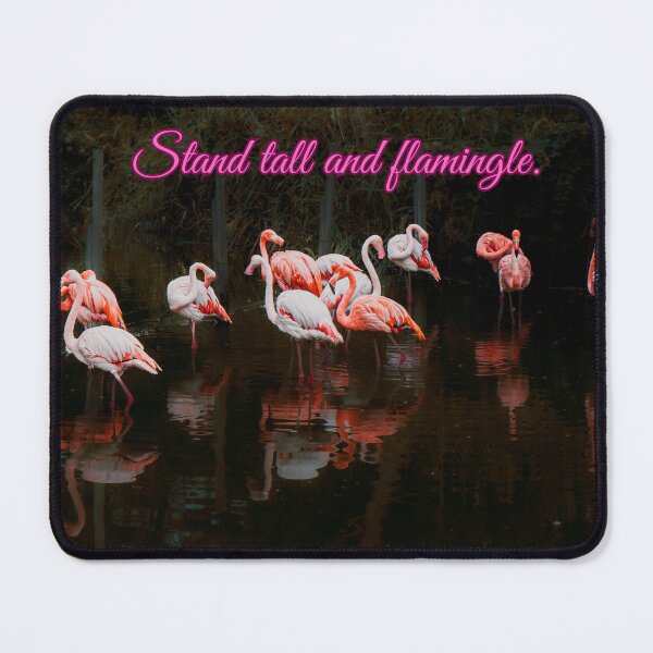 Item preview, Stand Tall and Flamingo – Flamingos in the evening light designed and sold by Tammigrafie.