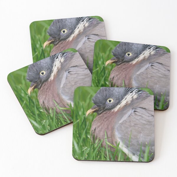 Item preview, Portrait. Wood Pigeon designed and sold by Jouko Lehto Photography.