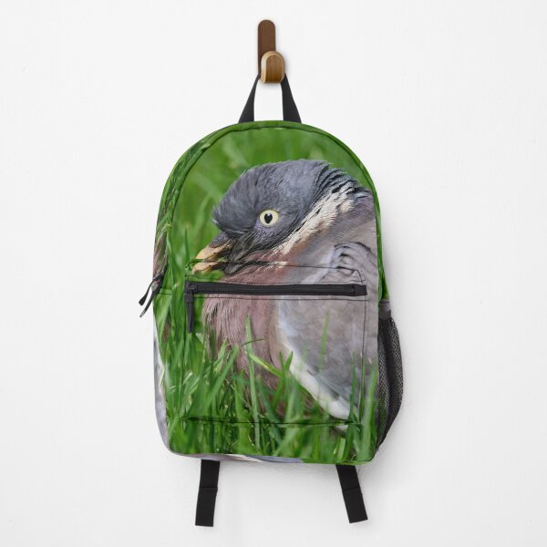 Item preview, Portrait. Wood Pigeon designed and sold by Jouko Lehto Photography.