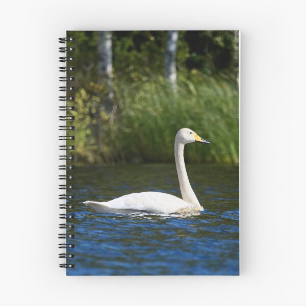 Item preview, Passing by. Whooper swan designed and sold by Jouko Lehto Photography.