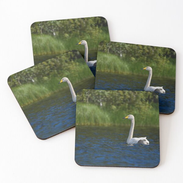 Item preview, Green grass blue waters. Whooper swan designed and sold by Jouko Lehto Photography.