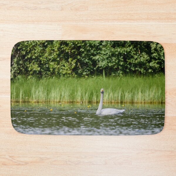 Item preview, Looking at you now.Whooper swan designed and sold by Jouko Lehto Photography.