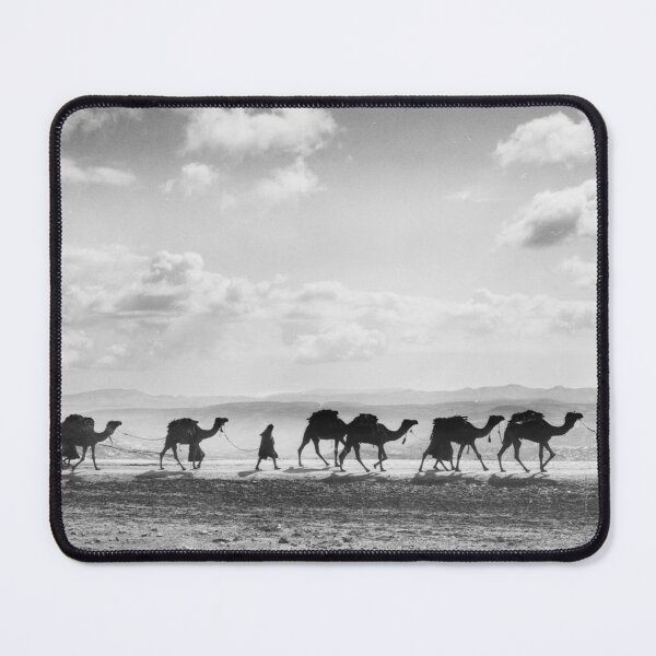 Item preview, Desert Caravan, Egyptian camel transport passing over Olivet, 1918 vintage black and white photograph designed and sold by Astrid Arkhangelsky.