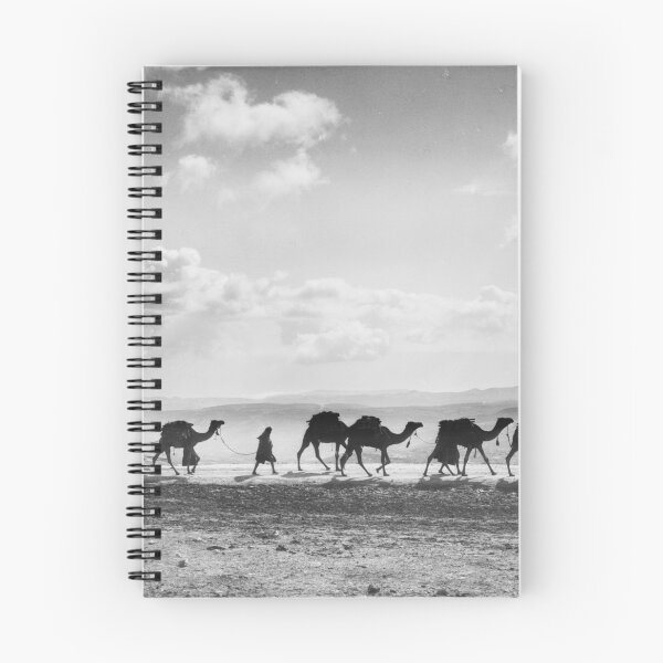 Item preview, Desert Caravan, Egyptian camel transport passing over Olivet, 1918 vintage black and white photograph designed and sold by Astrid Arkhangelsky.
