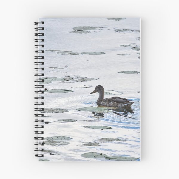 Item preview, On the silver lake. Mallard designed and sold by Jouko Lehto Photography.