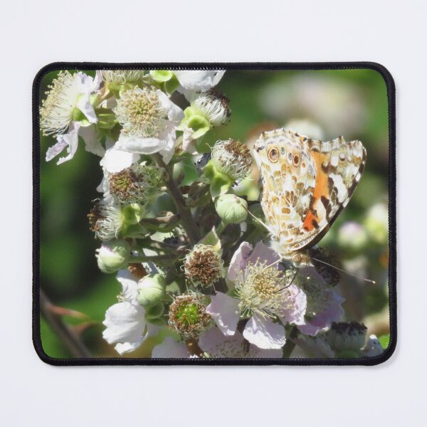 Item preview, Gatekeeper Butterfly & Blackberry Blossom designed and sold by wiggyofipswich.