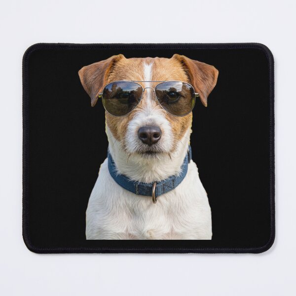 Item preview, Jack Russell sunglasses, cool dog designed and sold by Loona97.
