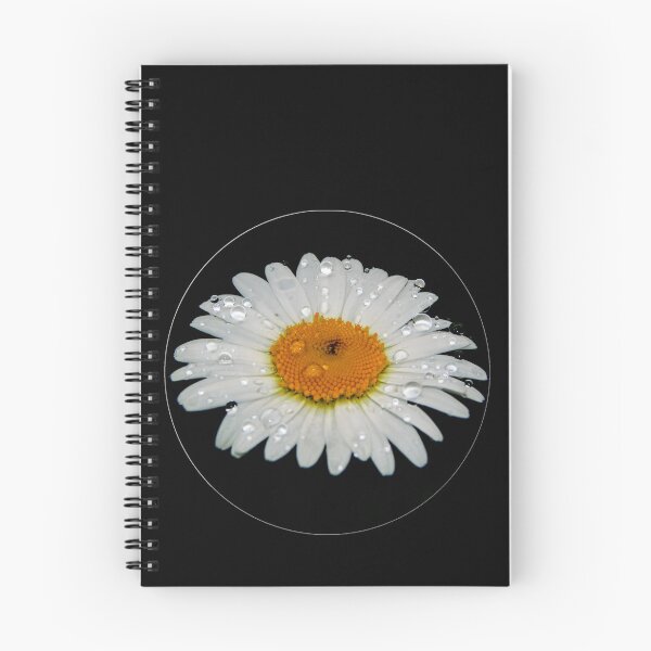 Item preview, Raindrops of a Daisy designed and sold by MLJM_Photography.