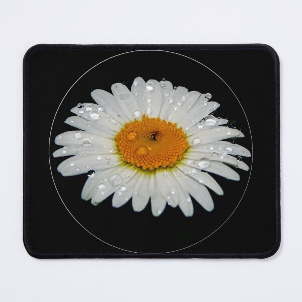 Item preview, Raindrops of a Daisy designed and sold by MLJM_Photography.