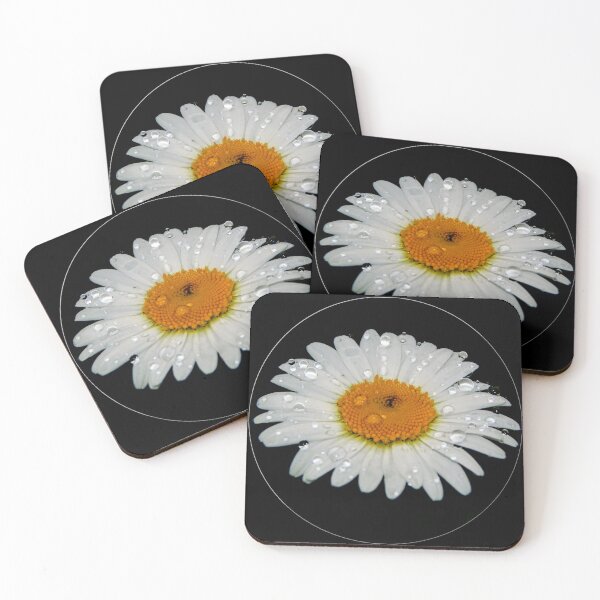 Item preview, Raindrops of a Daisy designed and sold by MLJM_Photography.