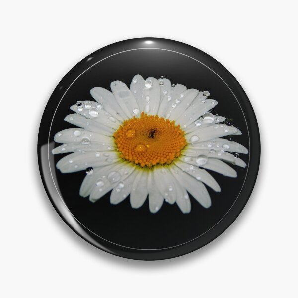 Item preview, Raindrops of a Daisy designed and sold by MLJM_Photography.