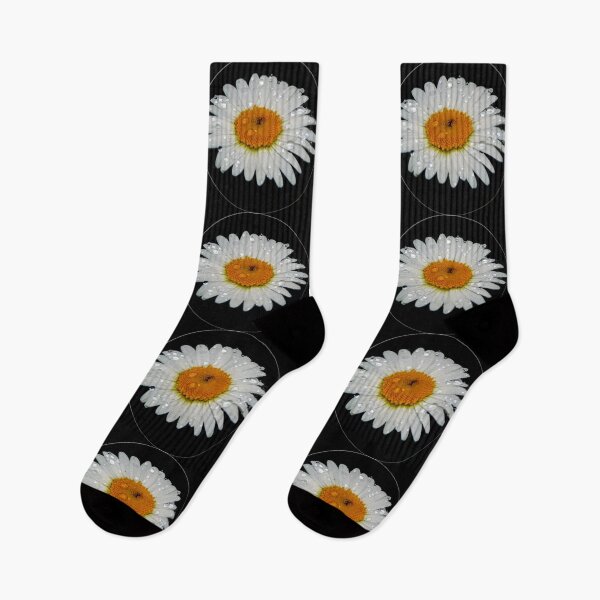 Item preview, Raindrops of a Daisy designed and sold by MLJM_Photography.