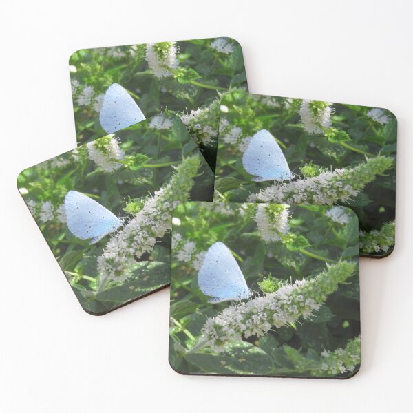 Item preview, Holly Blue Butterfly on Mint designed and sold by wiggyofipswich.