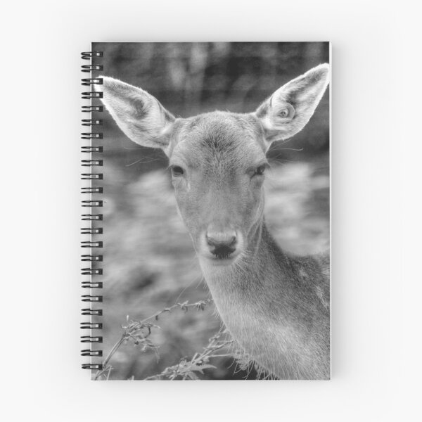 Item preview, Oh Deer! designed and sold by SusiSu72.