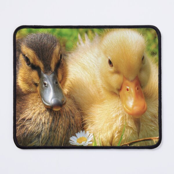 Item preview, Custard the Duck designed and sold by SusiSu72.