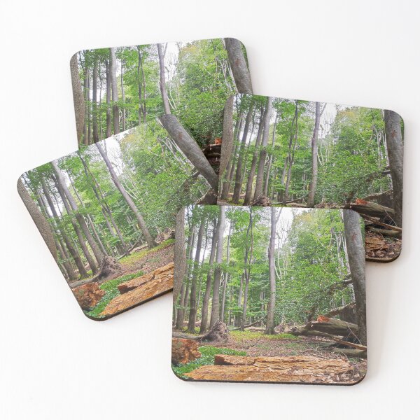Item preview, Beech forest Jasmund National Park designed and sold by Cosmic Landscapes.