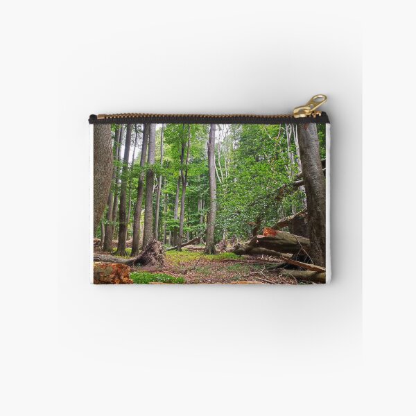 Item preview, Beech forest Jasmund National Park designed and sold by Cosmic Landscapes.