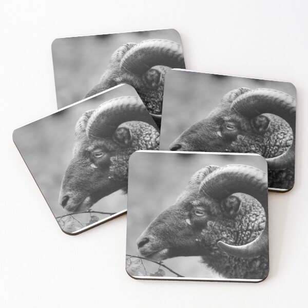 Item preview, Oh Sheep! designed and sold by SusiSu72.