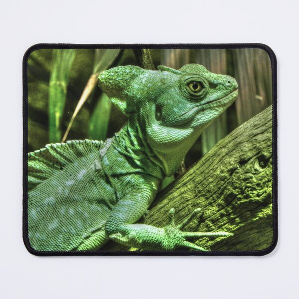 Item preview, Lounge Lizard designed and sold by SusiSu72.
