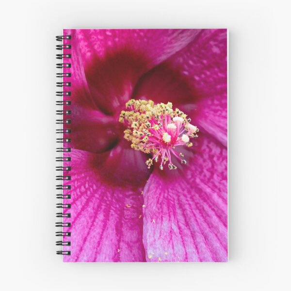 Item preview, Macro Flower designed and sold by jmesserschmidt.