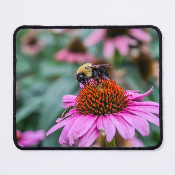 Item preview, Bee on Flower designed and sold by jmesserschmidt.