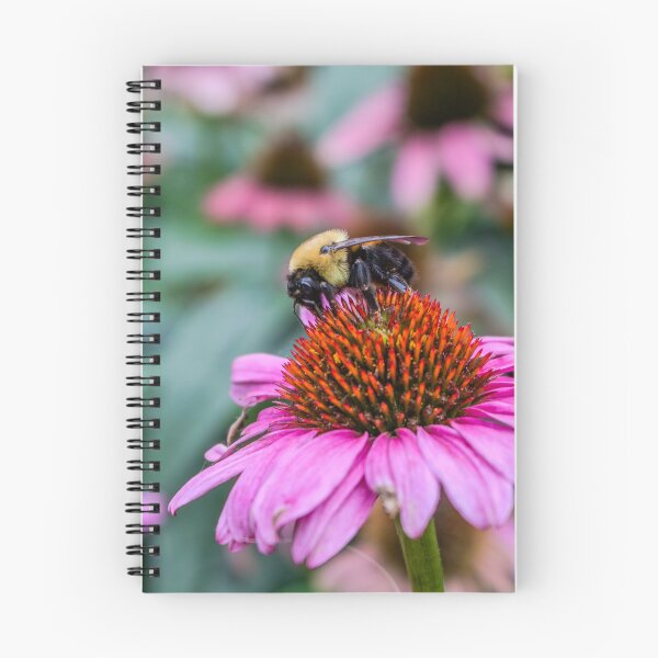 Item preview, Bee on Flower designed and sold by jmesserschmidt.