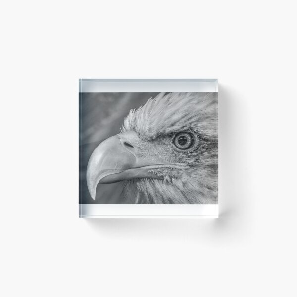 Item preview, Bald Eagle designed and sold by SusiSu72.