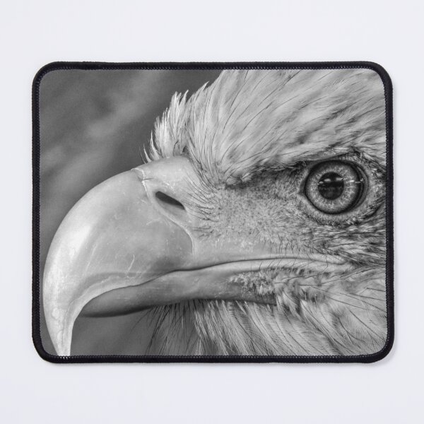 Item preview, Bald Eagle designed and sold by SusiSu72.