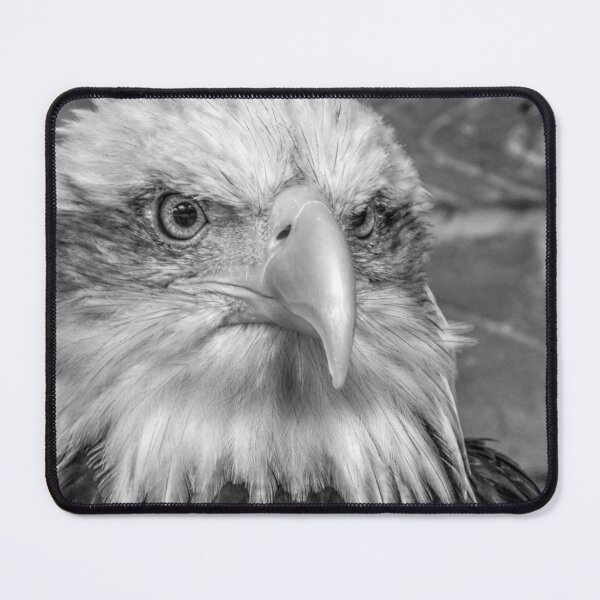 Item preview, Bald Eagle designed and sold by SusiSu72.