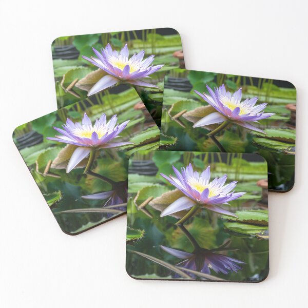 Item preview, Lotus Reflection designed and sold by jmesserschmidt.