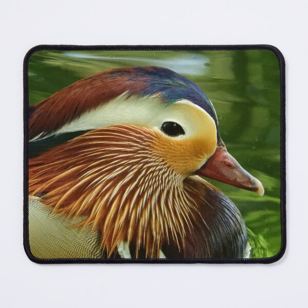 Item preview, Mandarin Duck designed and sold by SusiSu72.